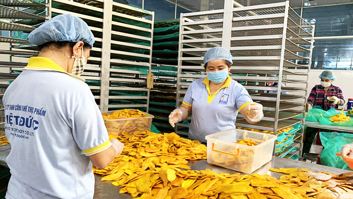 Explosion des commandes de fruits et légumes vietnamiens vers les États-Unis et l Europe